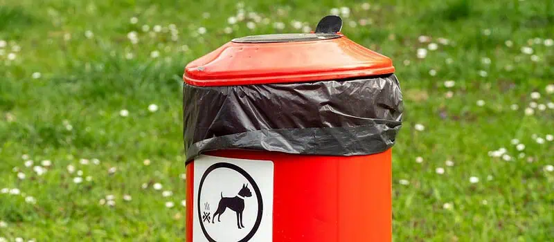Kosz na psie odchody — wybór, montaż i eksploatacja dla czystych przestrzeni